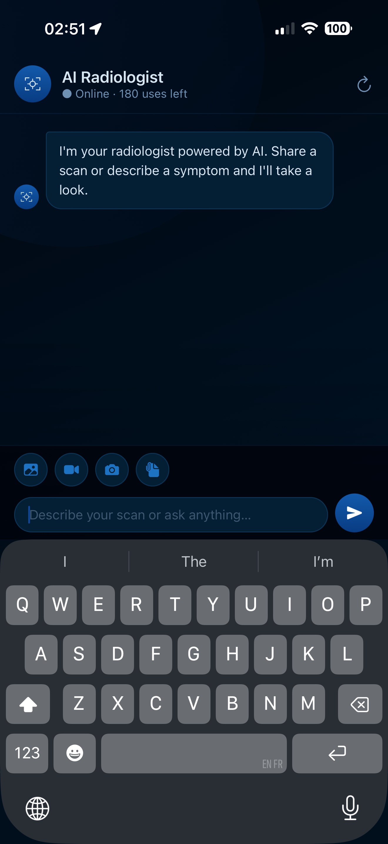 AI Radiologist chat interface